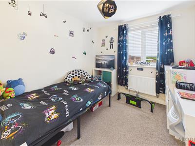 Picture 15